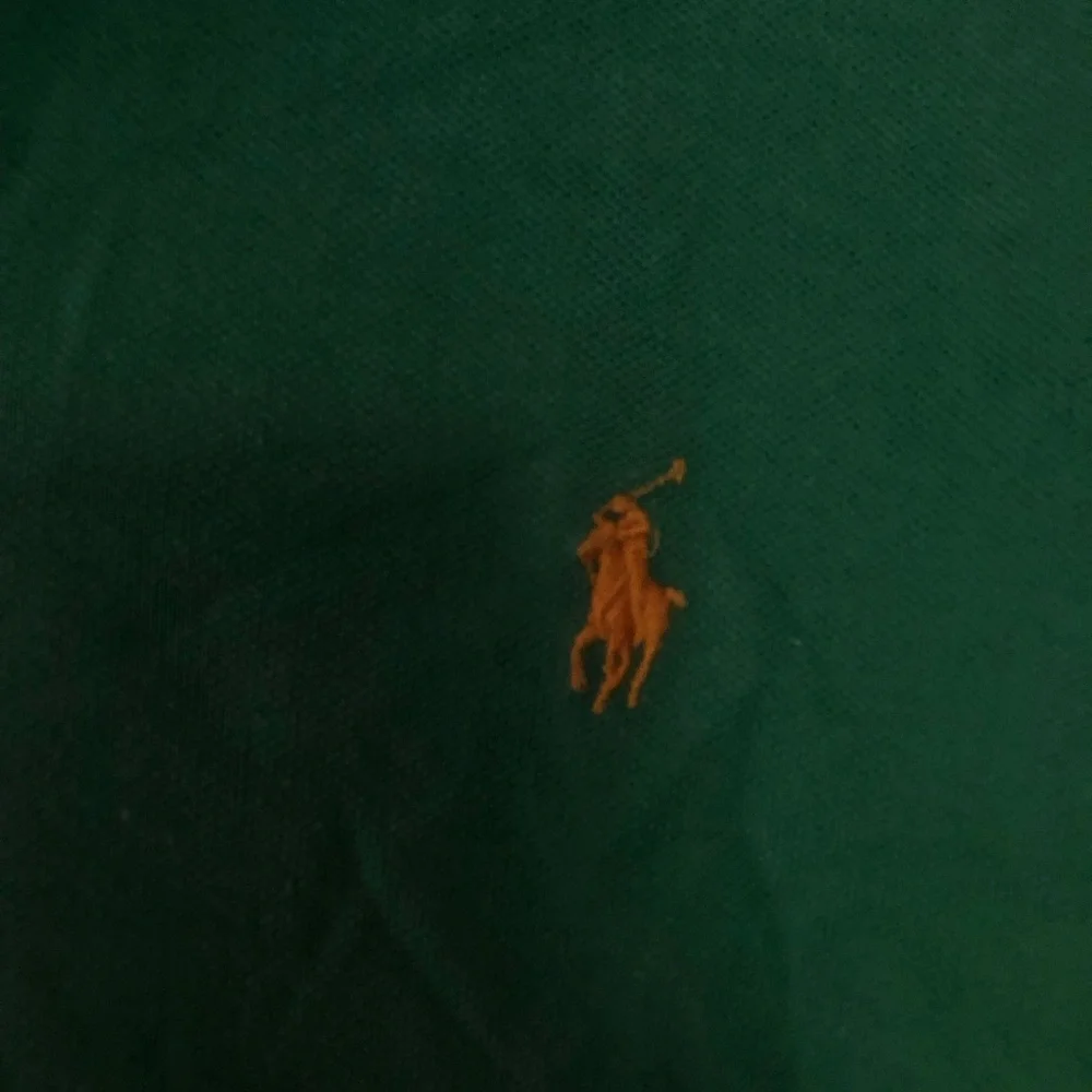 Ralph Lauren Men's Green Polo with Gold Pony Embroidery
